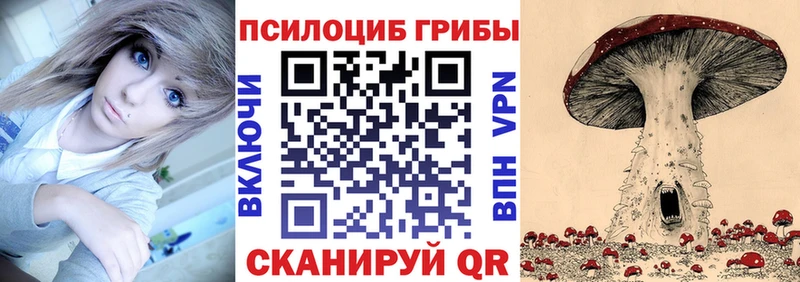 Псилоцибиновые грибы ЛСД  закладка  MEGA как войти  Ростов-на-Дону 